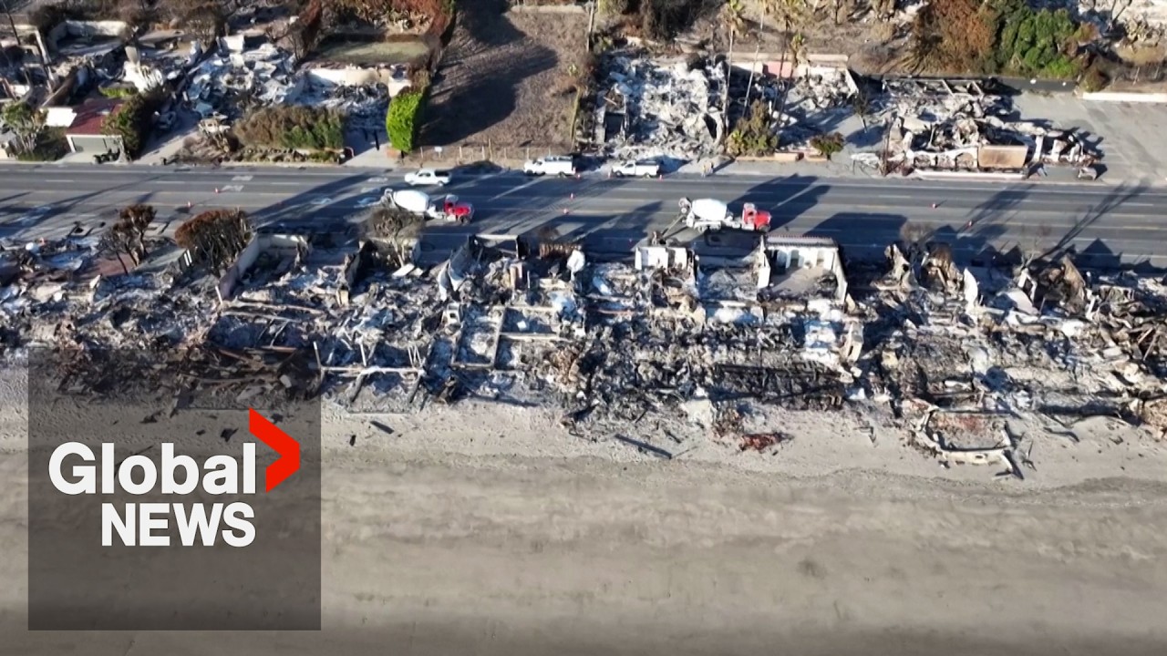 Man dead, shot by police in southeast Calgary – Calgary rapper – content – WESHH