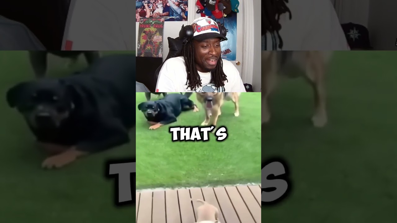 #DukeDennis says #YoungMoney is the greatest music group – content – WESHH