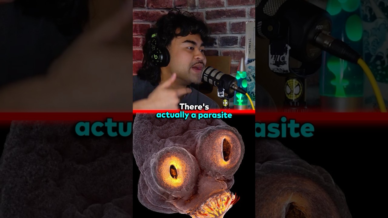 THERES A PARASITE THAT MAKES YOU MORE ATTRACTIVE? 😱 EP.269 @jumpersjump