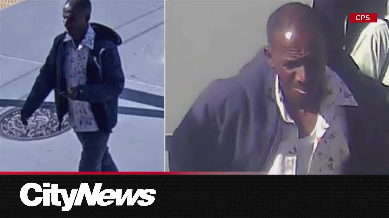 Orillia police make major drug bust in Simcoe County – content – WESHH