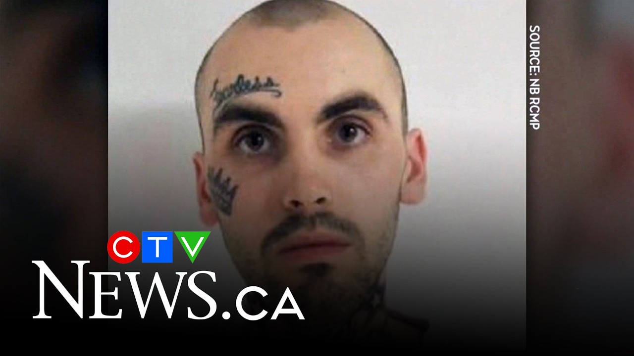 Man dead, shot by police in southeast Calgary – Calgary rapper – content – WESHH