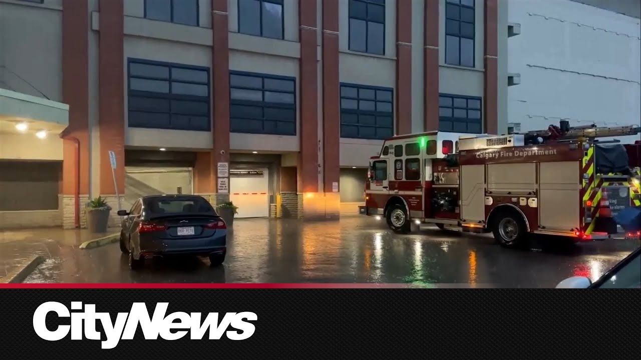 Police search for driver in deadly North York hit-and-run – Toronto rapper – content – WESHH