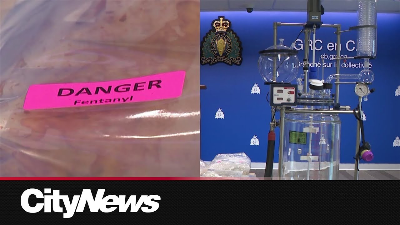 Guilty plea in bizarre shooting death – content – WESHH