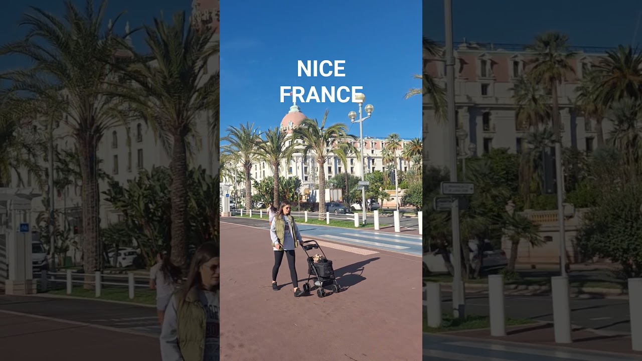 #prtoi #virslshorts #tiktokvideo #caption #everyone #subscribers – content – WESHH