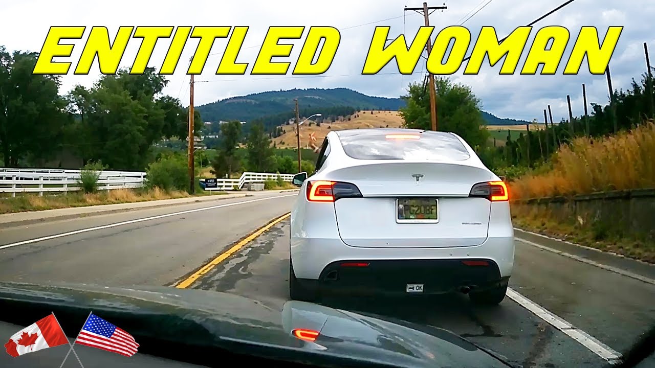 A Tragic Mass Extinction Has Happened in My Rainforest Vivariums – content – WESHH