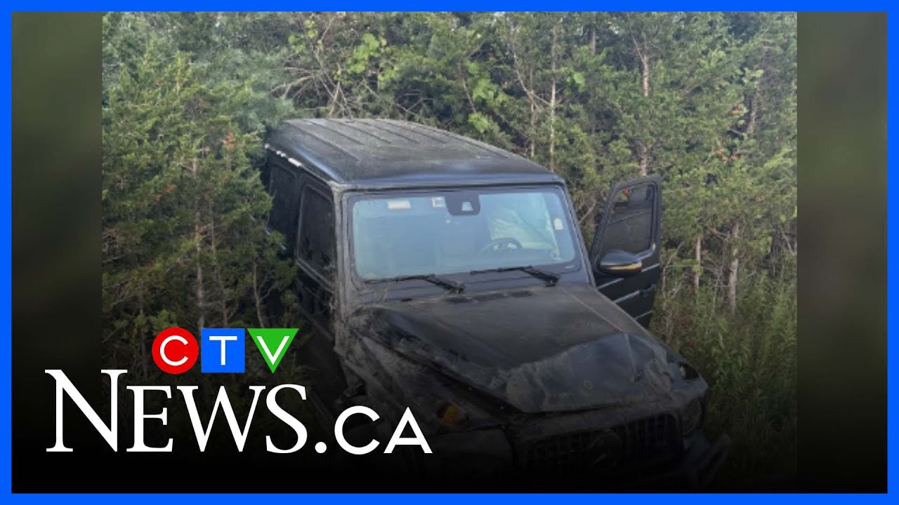 Police search for driver in deadly North York hit-and-run – Toronto rapper – content – WESHH