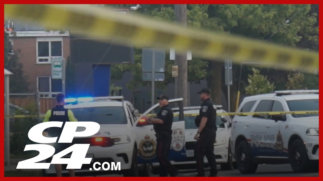 yal gotta see this man ahaha #food #wlw #caribbeanfood – content – WESHH