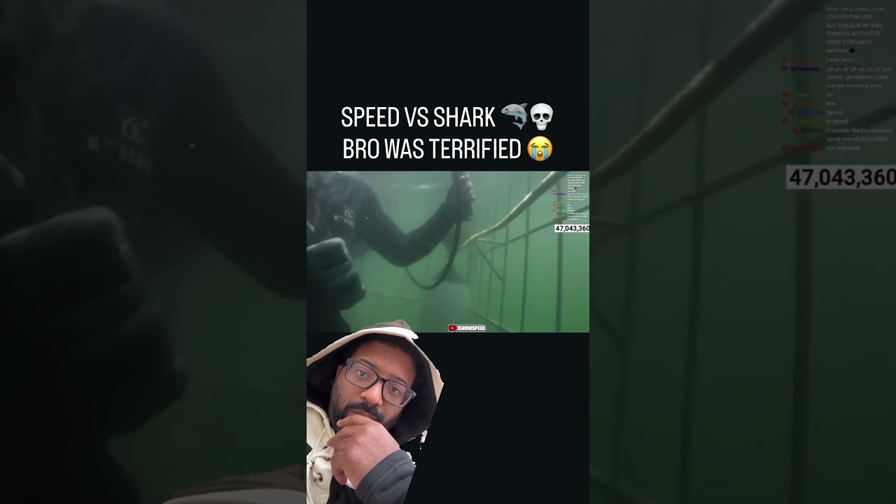 (Credit: aironox_us on IG) #clothes #clothing #fashion #lifehack #diy – content – WESHH