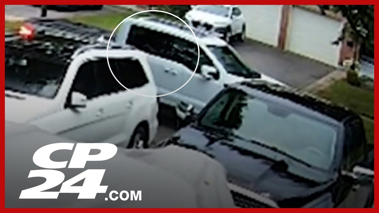 Police search for driver in deadly North York hit-and-run – Toronto rapper – content – WESHH