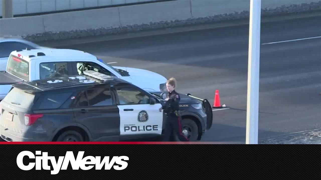 El Chino Piloto — El Chapo’s Pilot! 🇲🇽 – content – WESHH