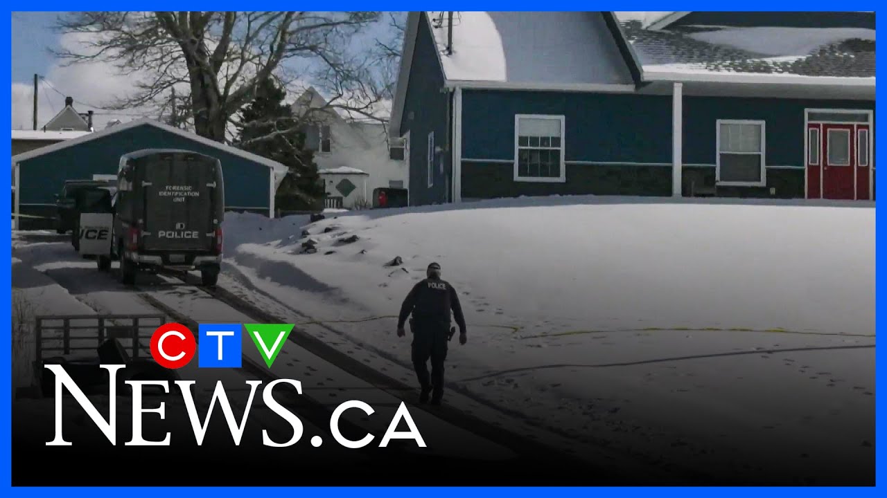 yal gotta see this man ahaha #food #wlw #caribbeanfood – content – WESHH