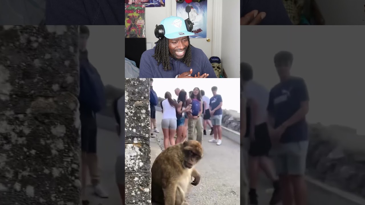 El Chino Piloto — El Chapo’s Pilot! 🇲🇽 – content – WESHH