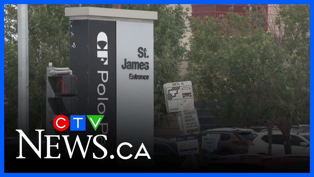 Police search for driver in deadly North York hit-and-run – Toronto rapper – content – WESHH