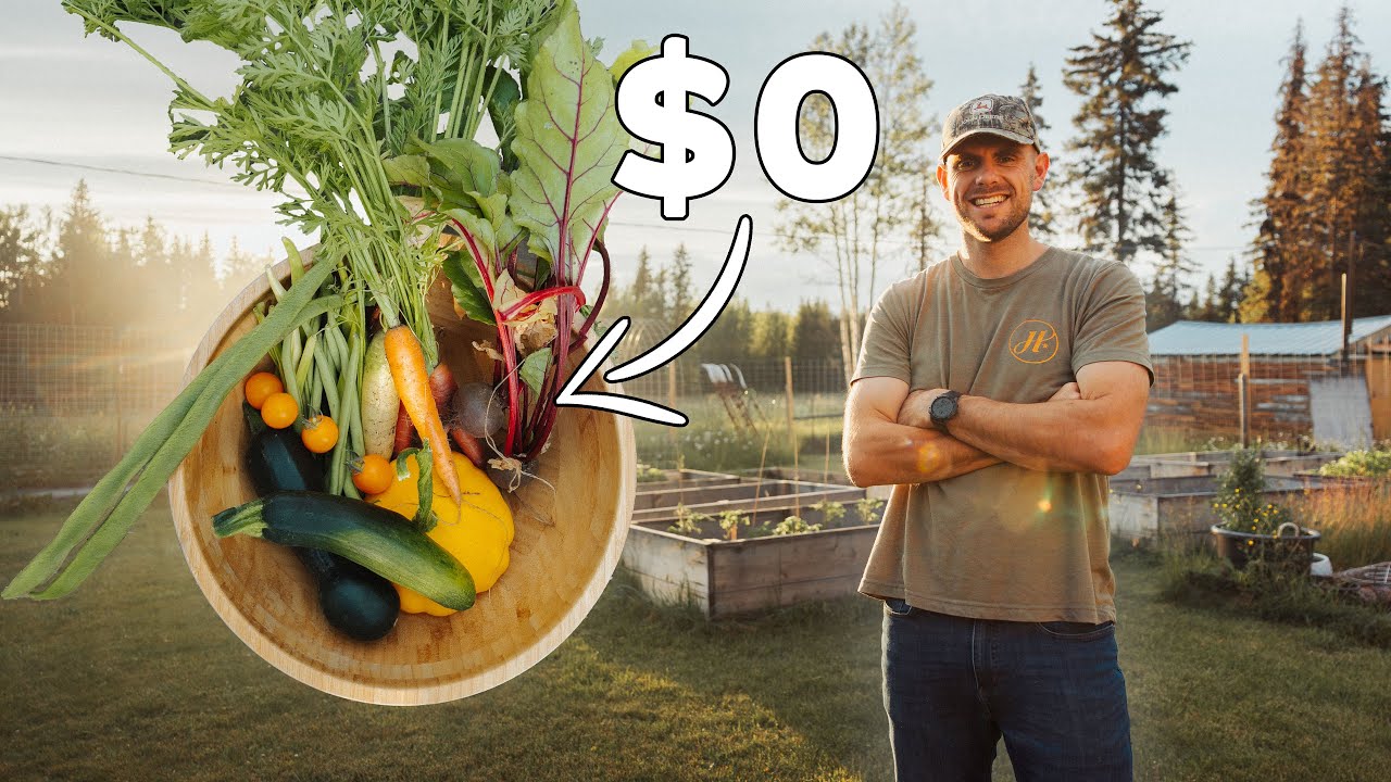 Exploring the Paranoid Country with 374,142 Bunkers to Hide Everyone (how is this possible?) – content – WESHH