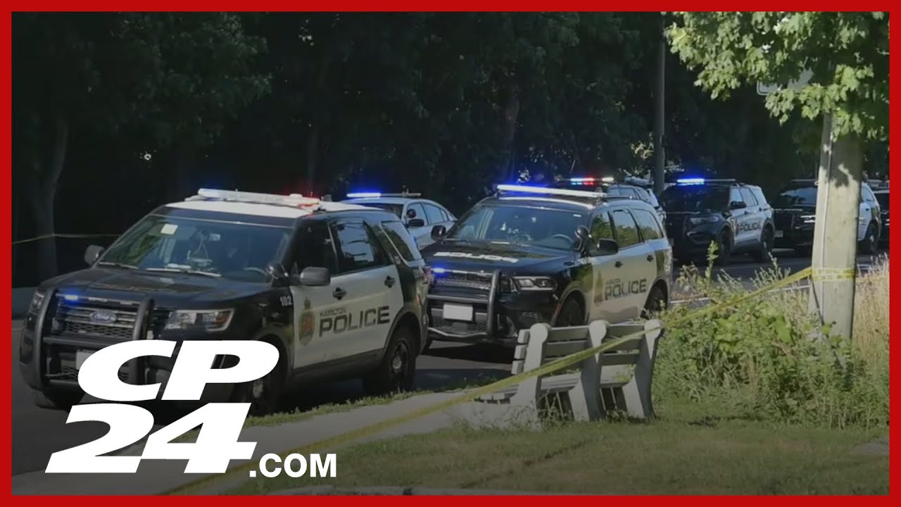 Police search for driver in deadly North York hit-and-run – Toronto rapper – content – WESHH