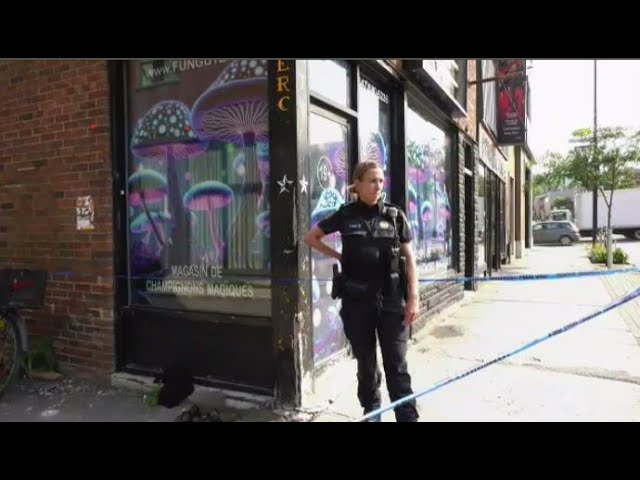 Police raid, shut down illegal magic mushrooms shop in Quebec