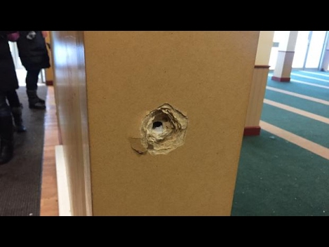 GRAPHIC WARNING: 1st images from inside Québec mosque