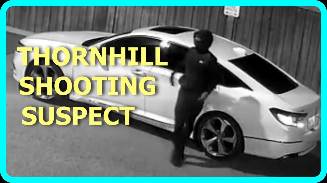 Police search for driver in deadly North York hit-and-run – Toronto rapper – content – WESHH