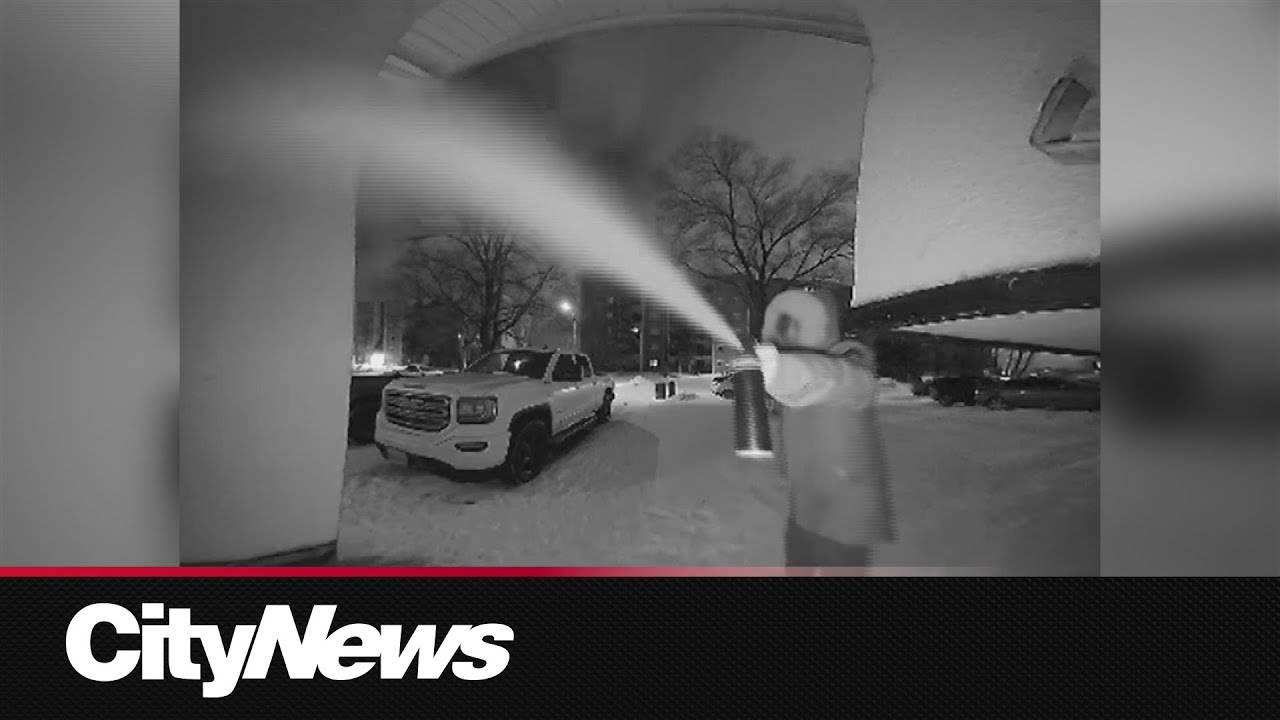 Guilty plea in bizarre shooting death – content – WESHH