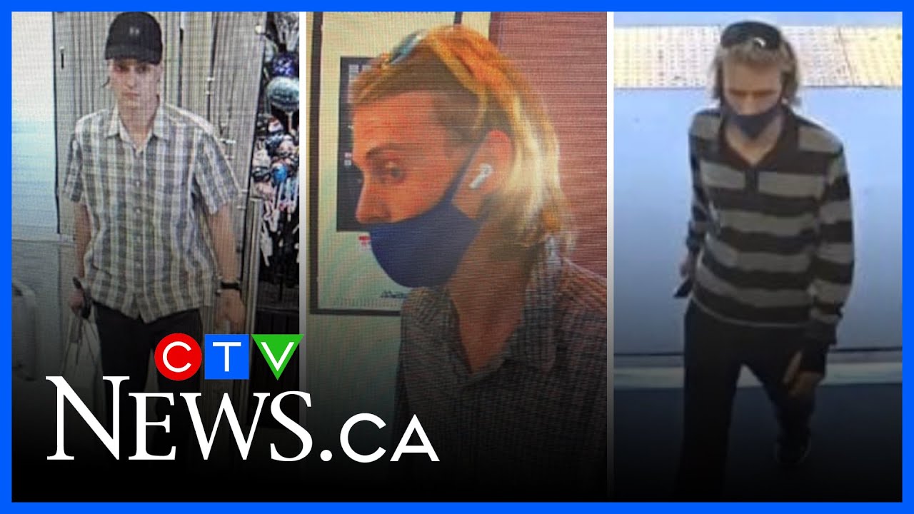 Police search for driver in deadly North York hit-and-run – Toronto rapper – content – WESHH