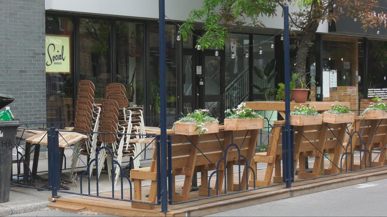 Two arrests made after firearm, large quantity of various drugs found inside Mississauga home – Toronto rapper – content – WESHH