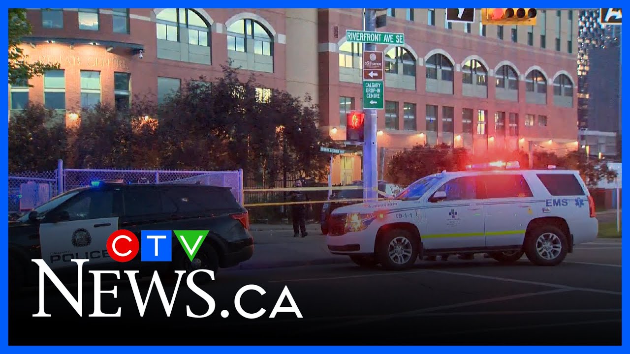 Police search for driver in deadly North York hit-and-run – Toronto rapper – content – WESHH