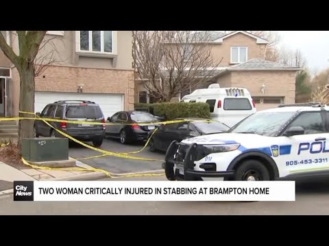 U.S. gun smuggler linked to gun crimes across Ontario, Quebec – Toronto rapper – content – WESHH