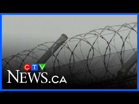 Canada has officially lost its mind ￼ – video – WESHH