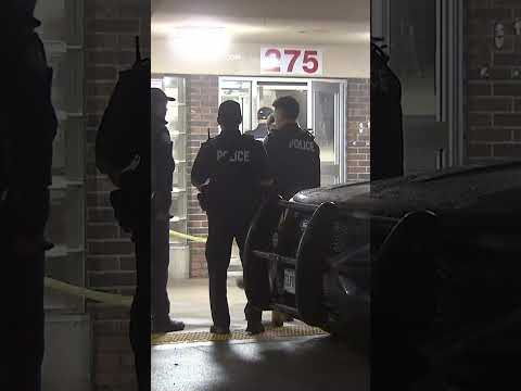 U.S. gun smuggler linked to gun crimes across Ontario, Quebec – Toronto rapper – content – WESHH