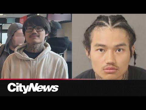 U.S. gun smuggler linked to gun crimes across Ontario, Quebec – Toronto rapper – content – WESHH