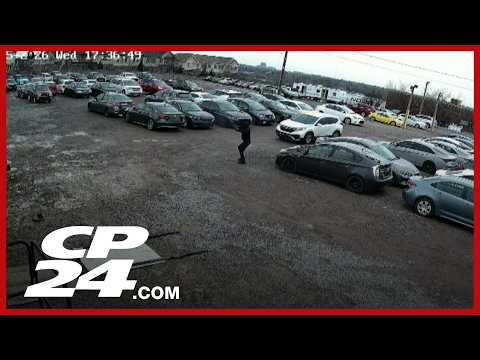 U.S. gun smuggler linked to gun crimes across Ontario, Quebec – Toronto rapper – content – WESHH