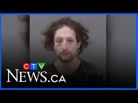 U.S. gun smuggler linked to gun crimes across Ontario, Quebec – Toronto rapper – content – WESHH