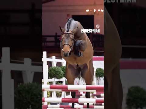 Canadian rap videos – WESHH