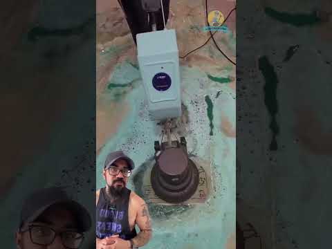 Canadian rap videos – WESHH