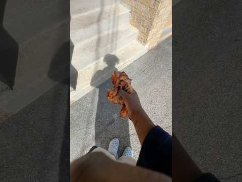 Canadian rap videos – WESHH