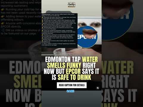 🇨🇦MY MOOD SWITCHED THEN MY SWITCH WEN’T OFF| MellowBanks Reactions – Goatliife – Mood Switch – Toronto rapper – hip hop news – WESHH