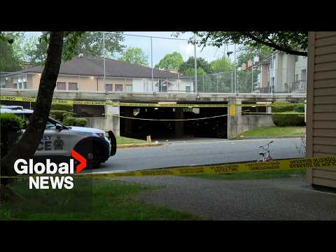 Colombia’s “cocaine hippos” may find new home in India – content – WESHH