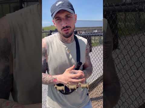 RIP Julio Foolio – yall got what yall deserved smh – hip hop news – WESHH