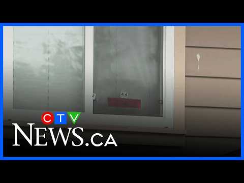 Man dead in North York shooting – Toronto rapper – content – WESHH