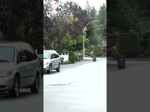 Man dead in North York shooting – Toronto rapper – content – WESHH