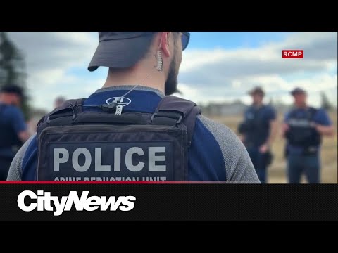 Man dead in North York shooting – Toronto rapper – content – WESHH