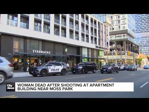 Borough mayor calls yesterday’s shooting in Côte-des-Neiges ‘a complete nightmare’ – Montreal rapper – content – WESHH
