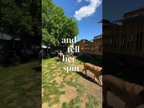 KLEE 013 – FREE FOOD – music video – WESHH