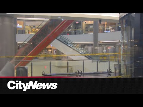 Man dead after falling from escalator at Empress Walk Plaza – Toronto rapper – content – WESHH